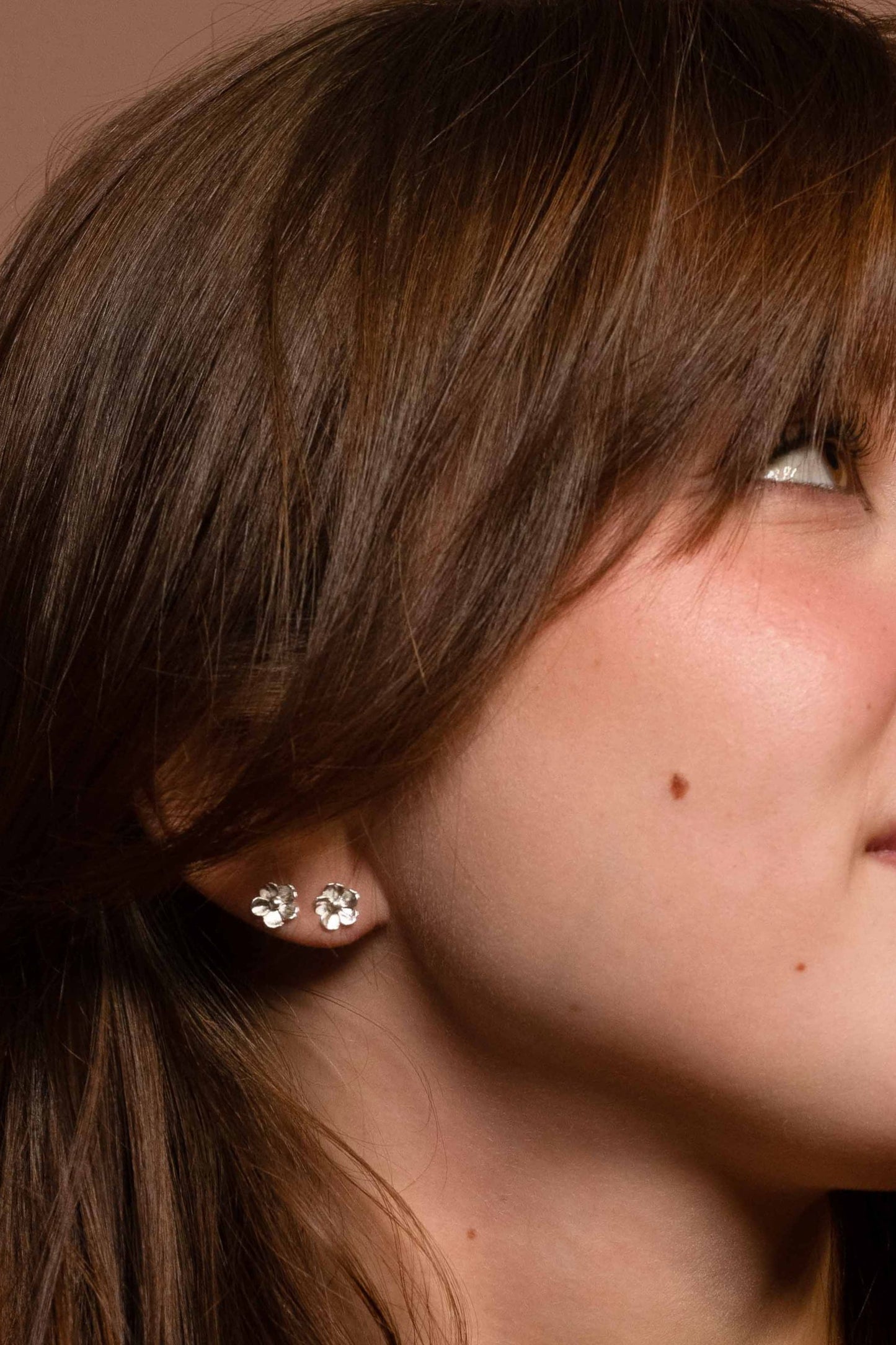 Hibiscus Studs